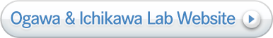 Ogawa & Ichikawa Lab Website